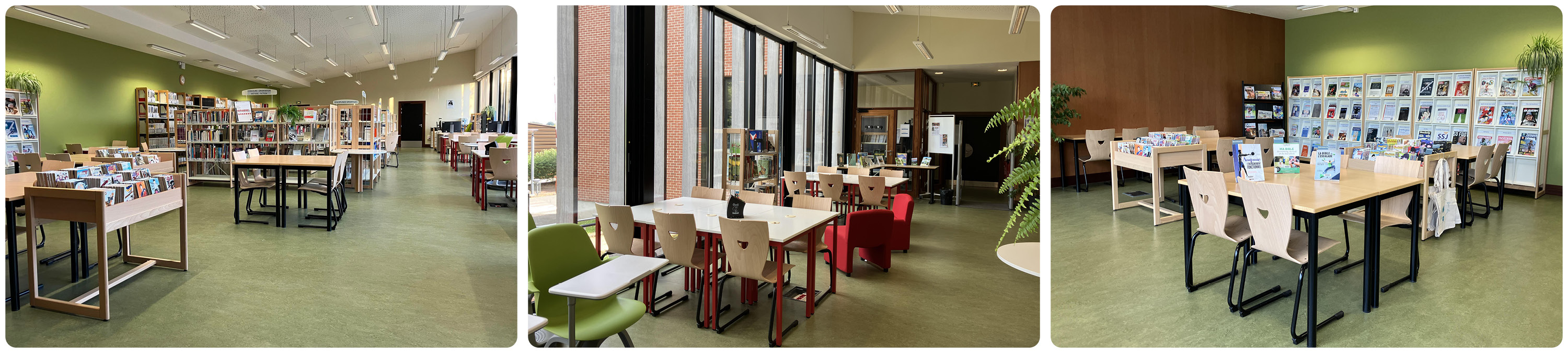 photo de la bibliothèque